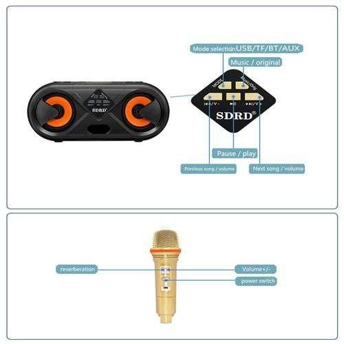 Wireless Bluetooth Karaoke Speaker SD303
