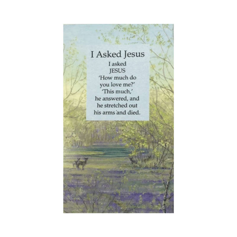 I Asked Jesus Holy Card