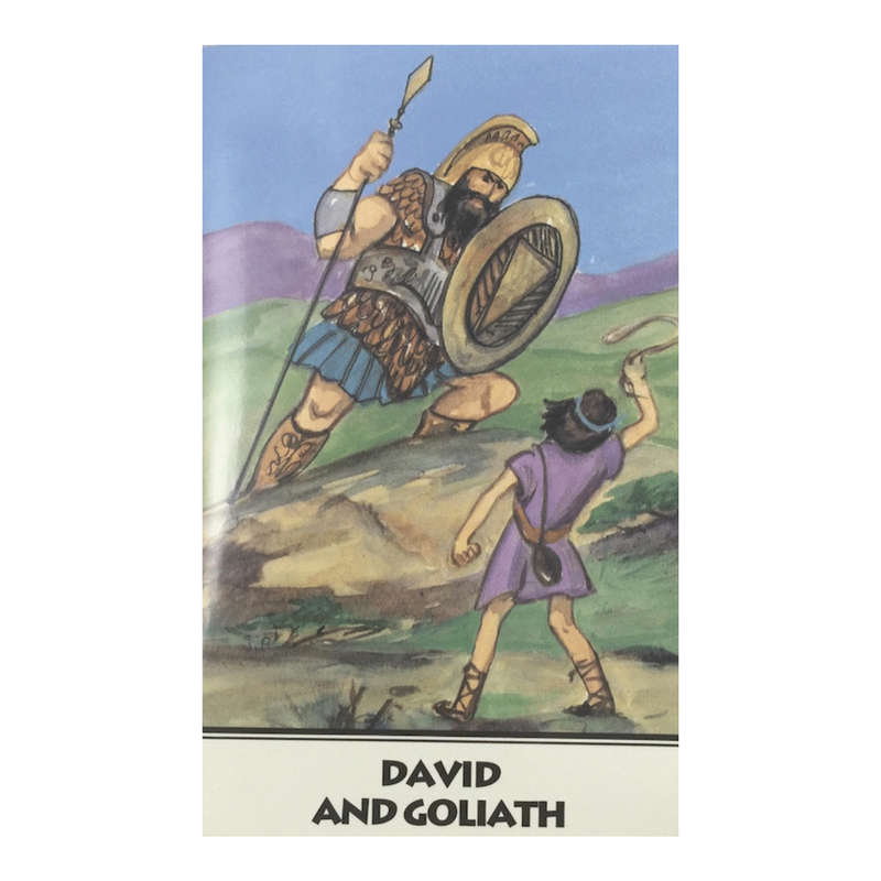 David and Goliath Book