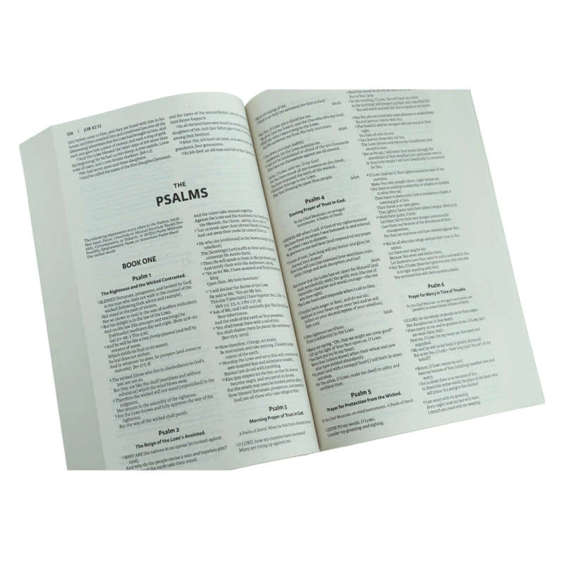 Amplified Outreach Bible