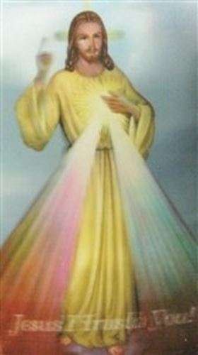 Divine Mercy 3 D Holy card