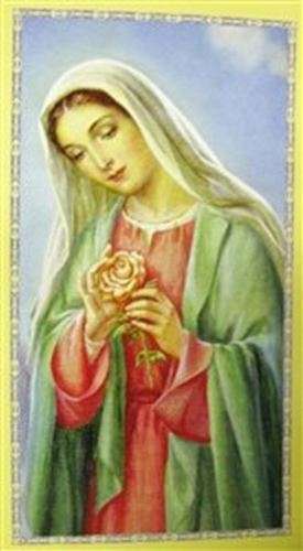 Madonna / Rose Holy card