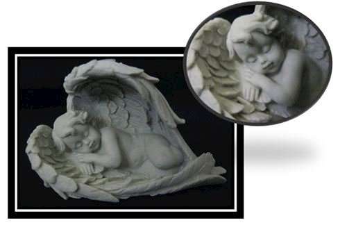 Sleeping Angel enfolded in wings