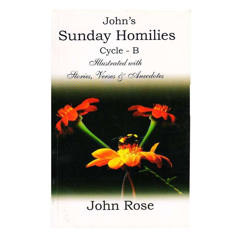 John's Sunday Homilies - Cycle B