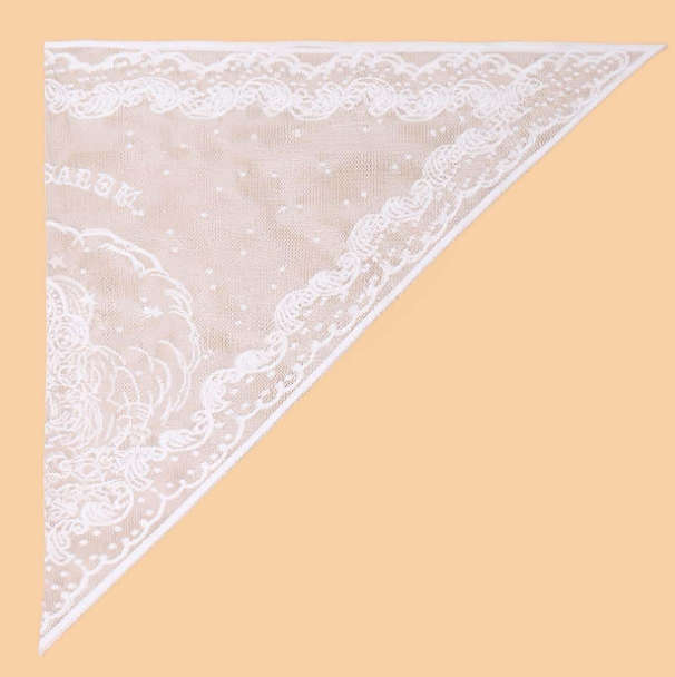 Jerusalem Mantilla Veil - White