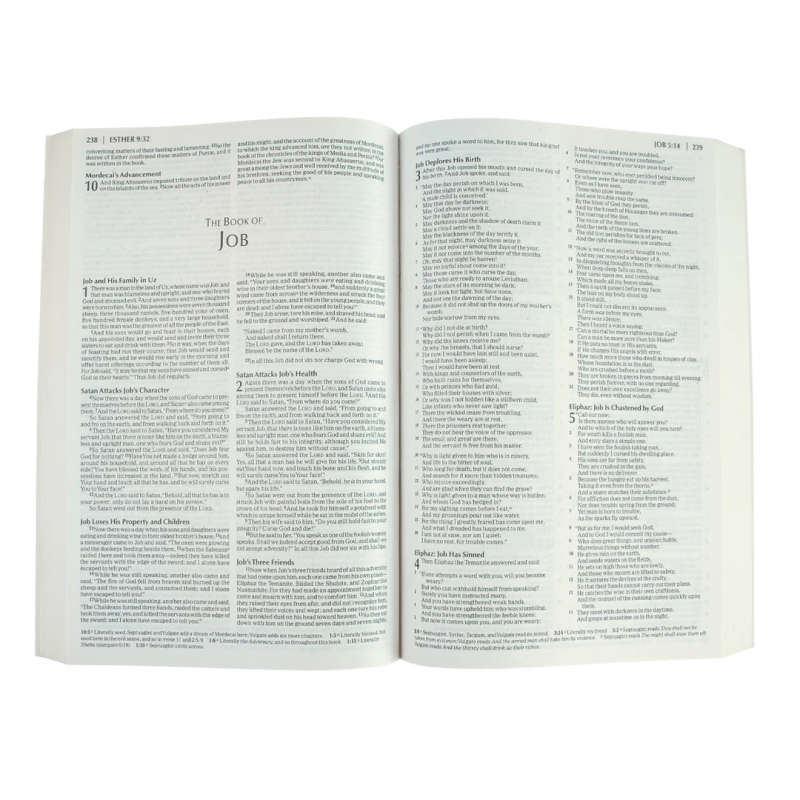 NKJV  Holy Economy Bible - Paperback