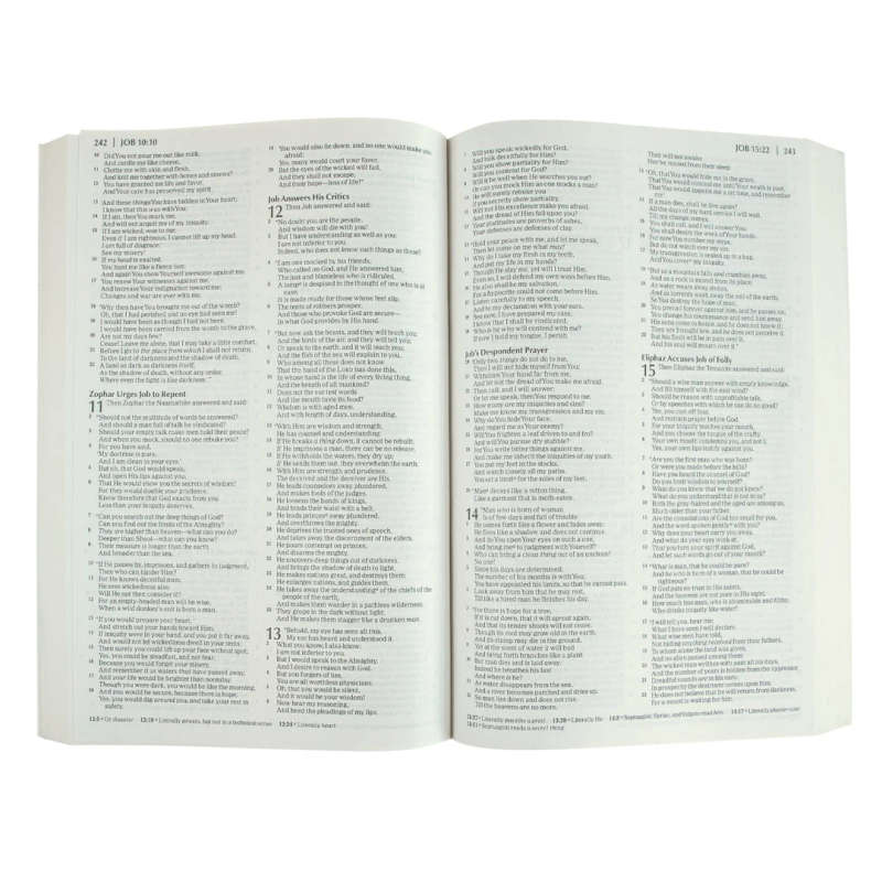 NKJV  Holy Economy Bible - Paperback