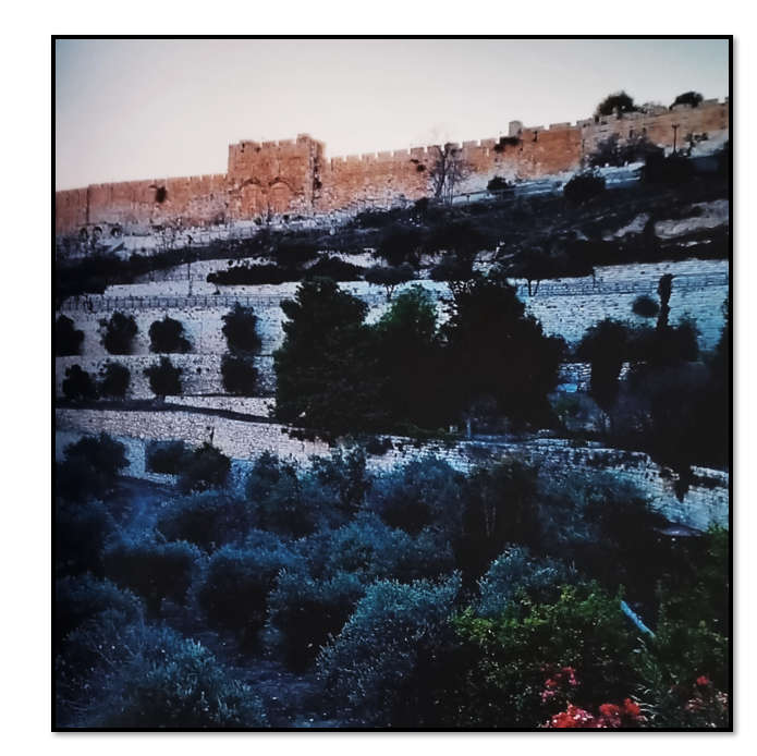 Holy Land Diary - Fr Graham Bouwer OFM - Collectors Item