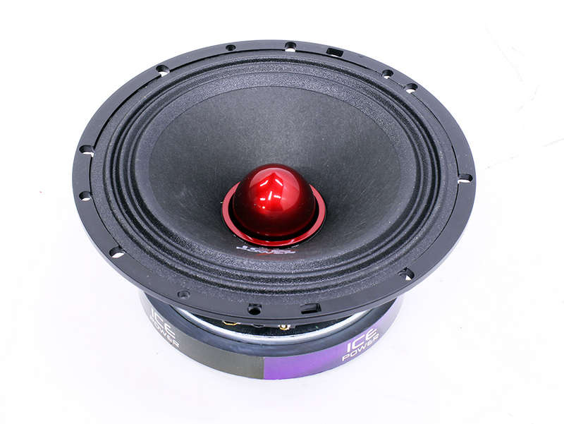 Ice Power IPS660PRO 6.5" Midrange Bullet Speaker