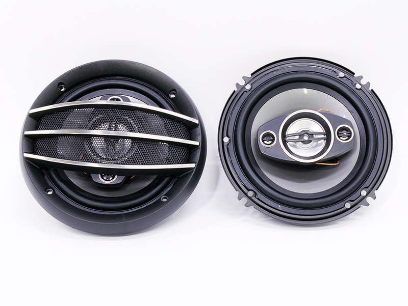Ice Power IPS-1631 6"  500w 4way Speakers