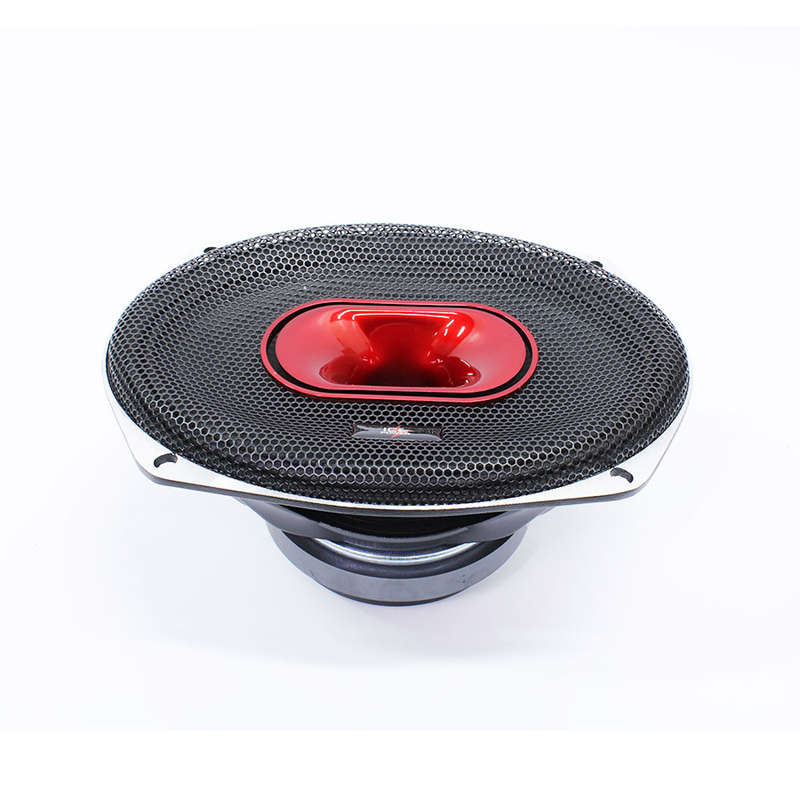 Ice Power IPS6999PRO  6x9" 2000w Pro Series Speaker (each)