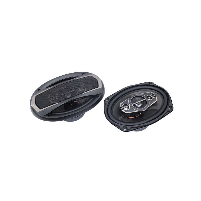 Ice Power IPS-6999 6x9" 1500w 5way Speakers