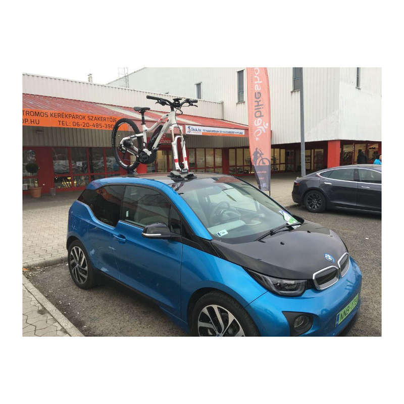 TreeFrog Model Pro 1 Vacuum Mount Single Bike Carrier