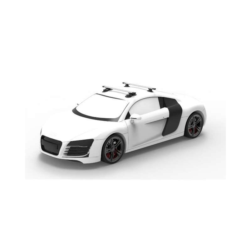 TreeFrog Vacuum Mount Cross Roof Rack