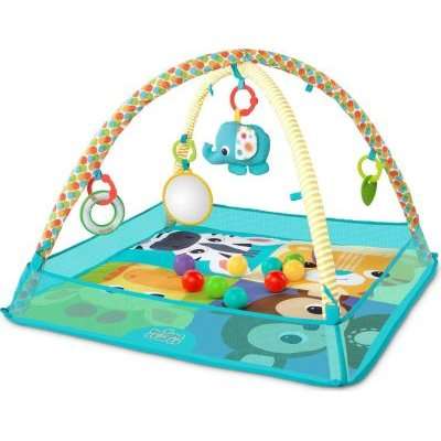 Bright Starts Mesh Ball Pit