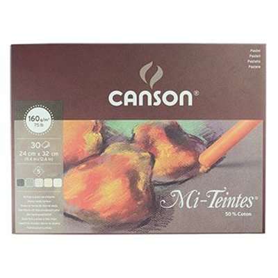 Canson Mi-Teintes Earth Tones Pastel Pad (30 Sheets)(24x32cm)