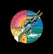 Wish You Were Here (Vinyl record, Remastered Album)