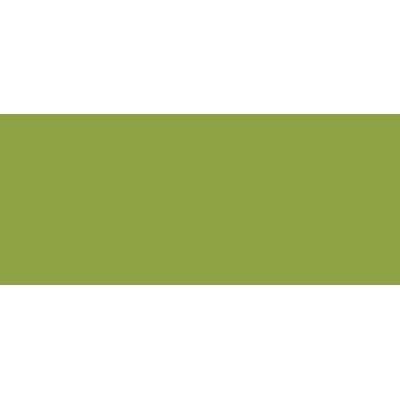 Tombow Dual Tip Blendable Brush Pen - Dark Olive