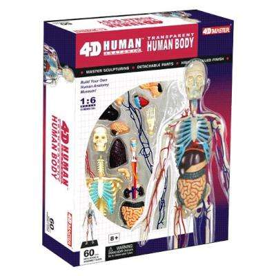 4D Master Human Anatomy - Clear Human Body