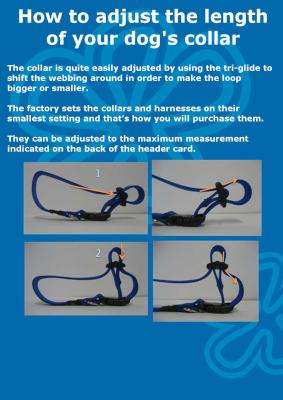 Rogz Alpinist Everest Dog Collar - Extra Large 25mm (Black Rogz Design)