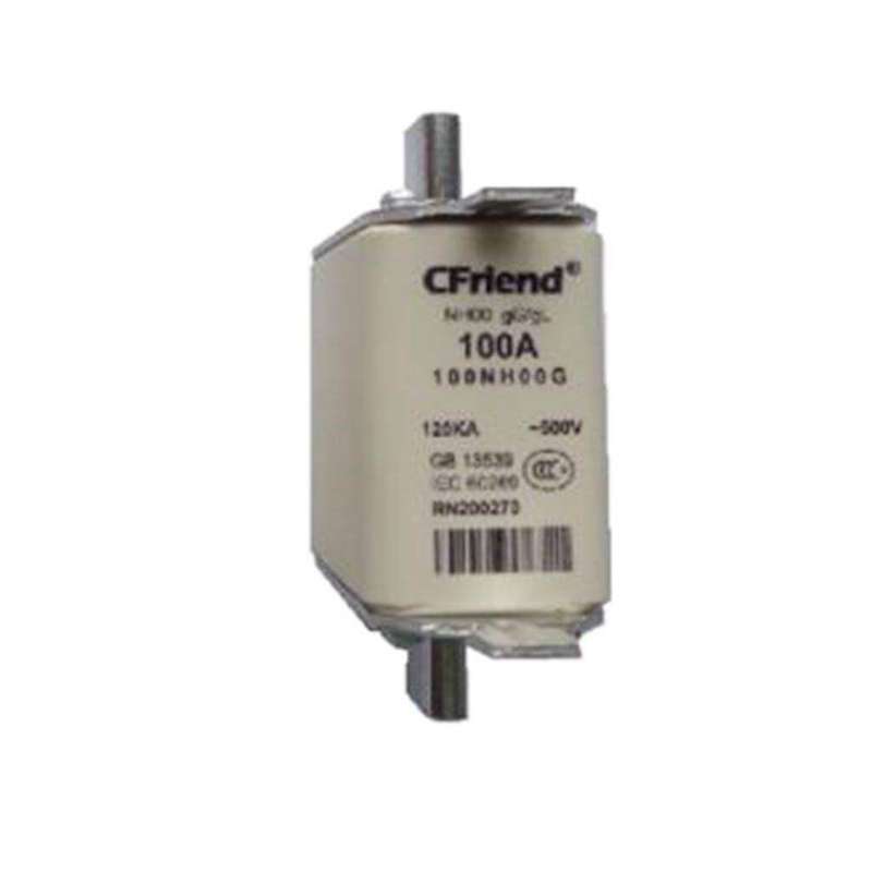 100A Fuse (500V)