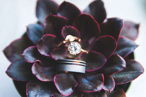 Succulents make great wedding decor
