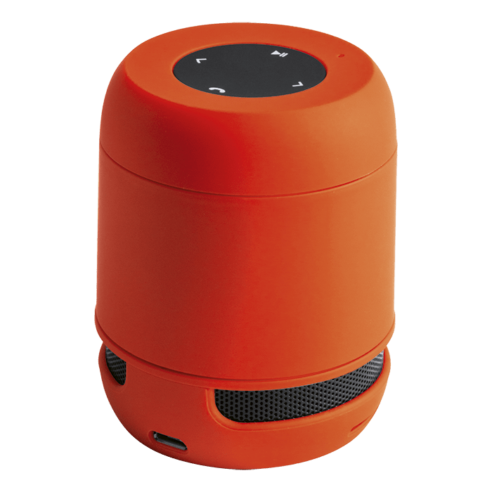 Braiss Bluetooth Speaker