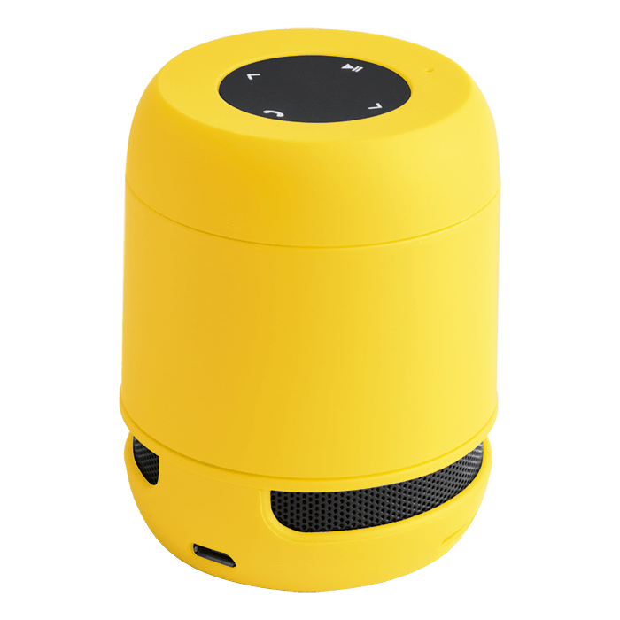 Braiss Bluetooth Speaker
