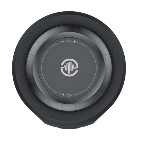 Burtone Connect Large 200 Wireless Speaker