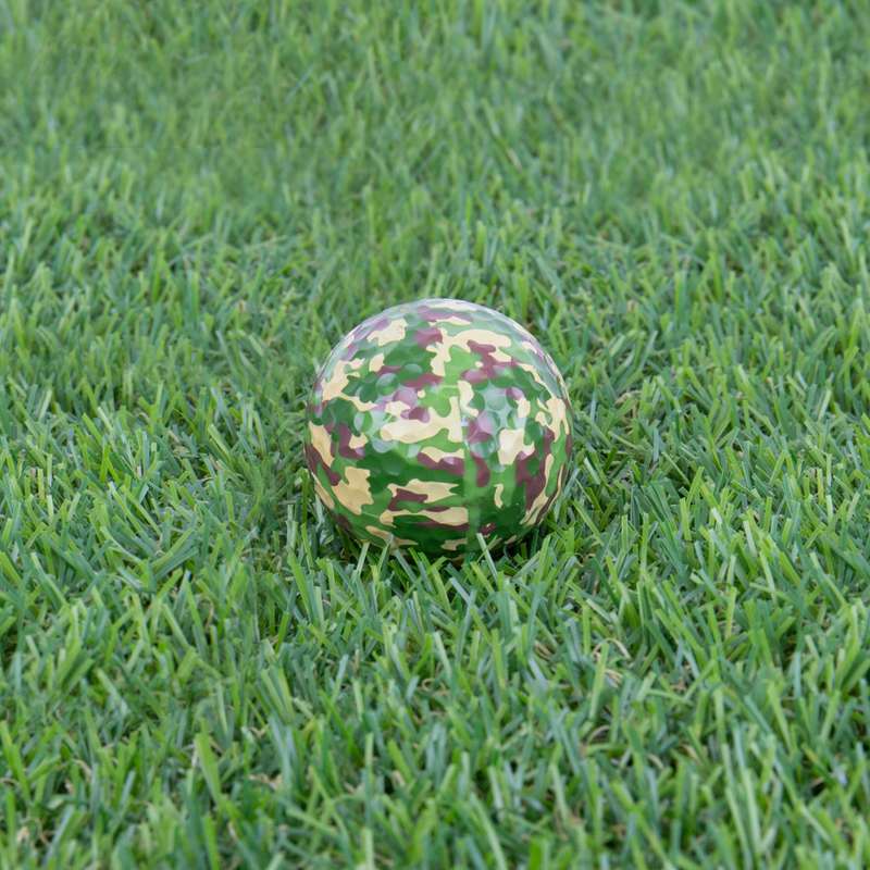 Camo Golf Balls