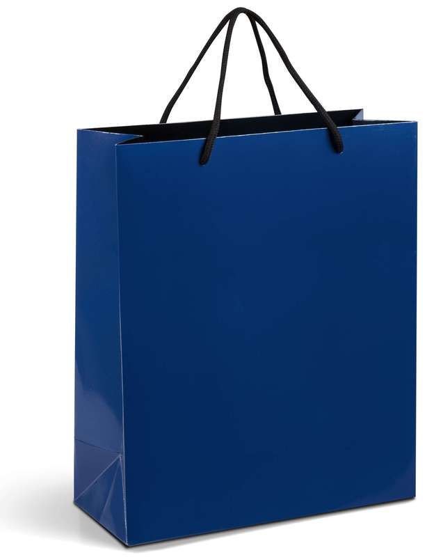 Dazzle Matte Gift Bag