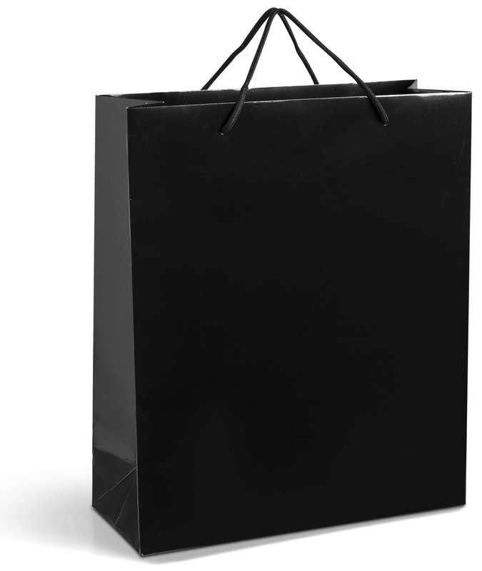 Dazzle Matte Gift Bag