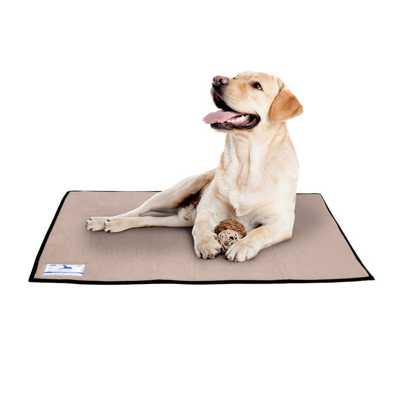 Dog-O-Pedic Memory Foam Day Mat