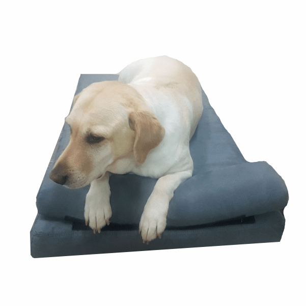 Dog-O-Pedic Pharaoh Memory Foam Mattress