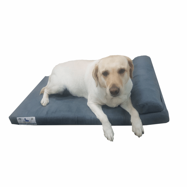 Dog-O-Pedic Pharaoh Memory Foam Mattress
