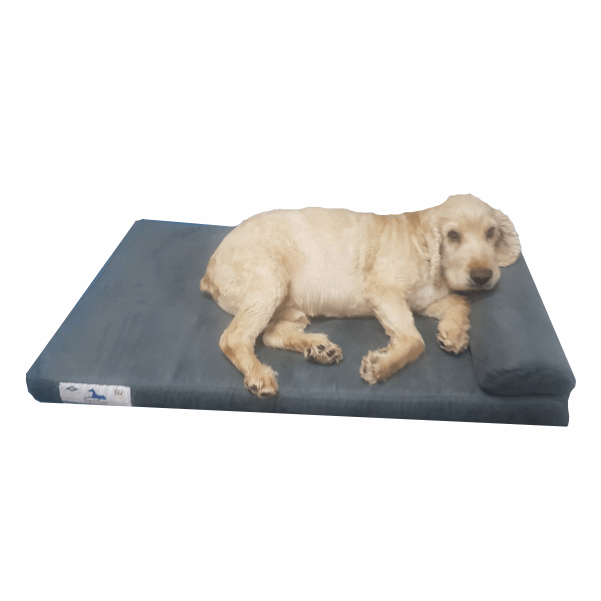 Dog-O-Pedic Pharaoh Memory Foam Mattress