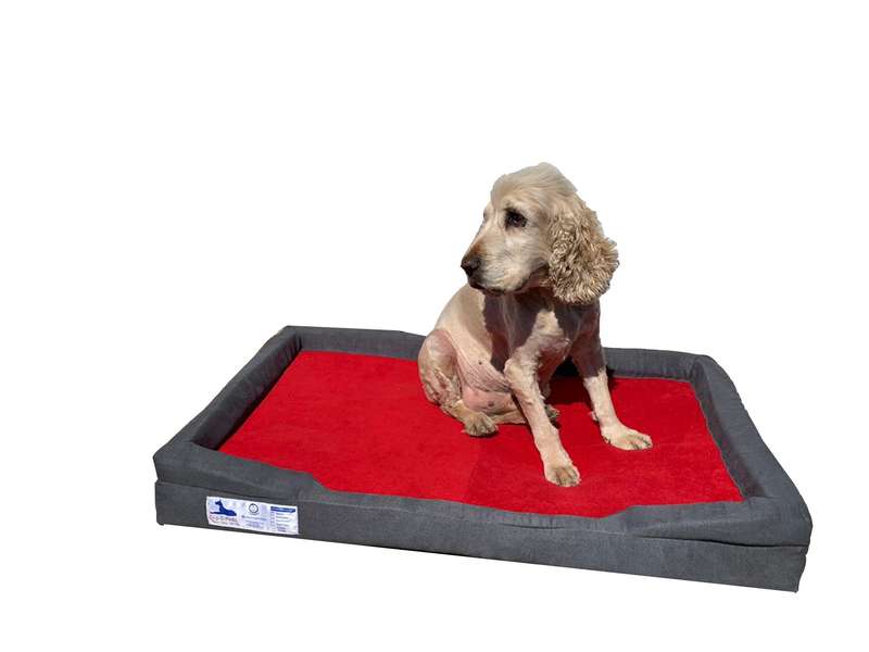 Dog-O-Pedic Throne Memory Foam Orthopedic Mattress