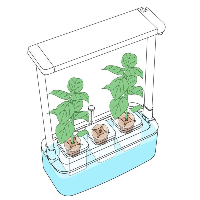 MicroGarden Hydroponic Smart Garden 3