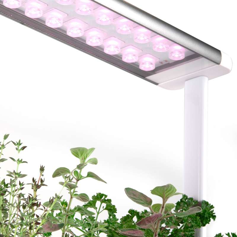 MicroGarden Hydroponic Smart Garden 3