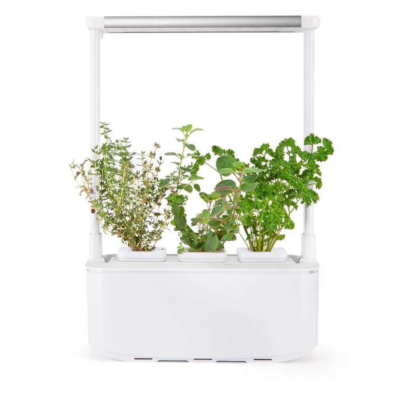 MicroGarden Hydroponic Smart Garden 3