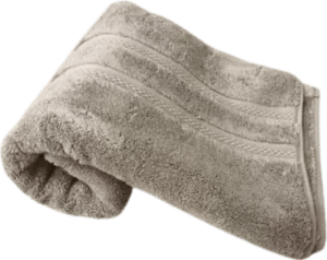 Nortex Royal Plush Towel - 710gsm