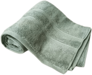 Nortex Royal Plush Towel - 710gsm