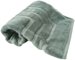 Nortex Royal Plush Towel - 710gsm
