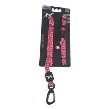 Pet Lead & Collar Set - Small