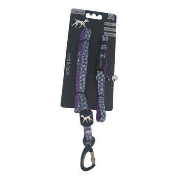 Pet Lead & Collar Set - Small