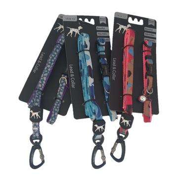 Pet Lead & Collar Set - Small