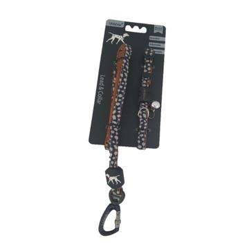 Pet Lead & Collar Set - Small