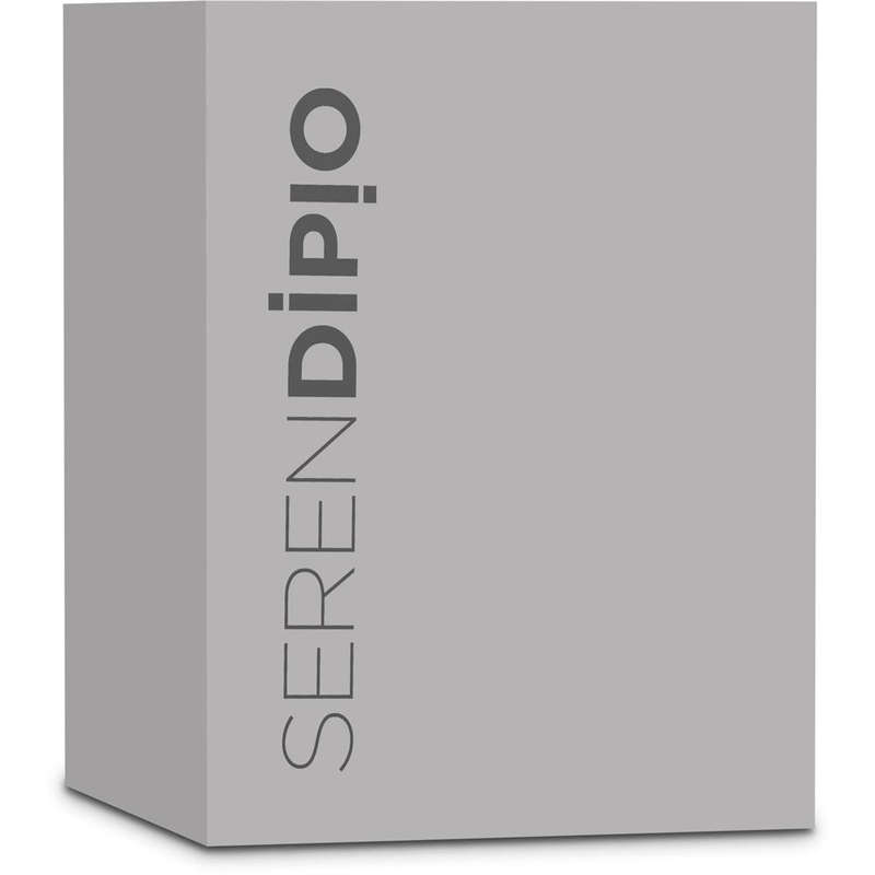 Serendipio Pimlico Ceramic Tumbler  300ml