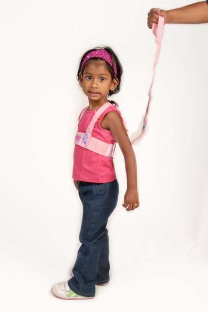 Toddler Safety Harness