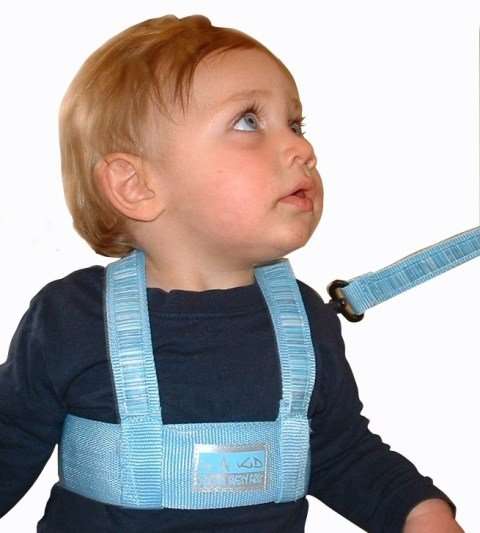 Toddler Safety Harness